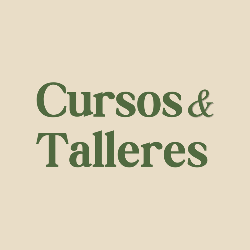 Cursos & Talleres